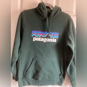 Patagonia Woman’s M Men's S Dark Green Logo Hoodie